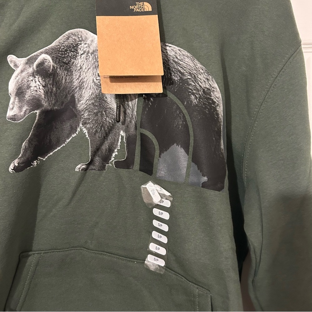 THE NORTH FACE TNF Bear Pullover Hoodie - Men's Thyme/TNF Black, S New - Picture 3 of 7